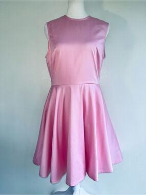 Holly Fulton NWT Sleeveless Pink Skater Dress Back Hidden Zip SZ 12